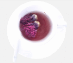 Paarse viooltjes bloemen thee